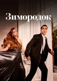 Зимородок (сериал 2022) смотреть онлайн на Лордфильм